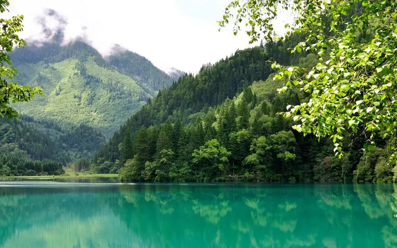 创新高性能